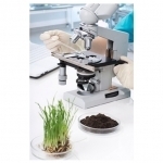 7 advantages of plants in vitro - planting material of a new generation.